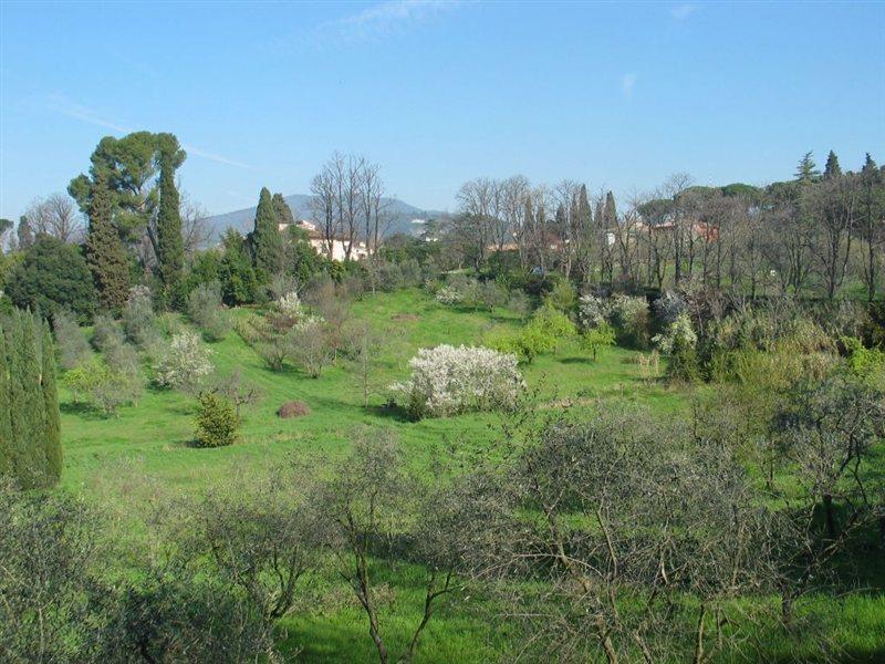 Villa Ulivi Florence Exterior photo